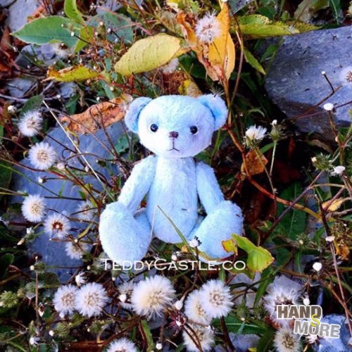 Mentha Bear